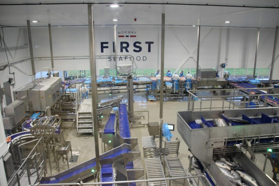 FIRST SEAFOOD I KONGSVINGER: – At forslaget gis tilbakevirkende kraft, bidrar ikke til den forutsigbarheten havbruksnæringen trenger, sier Jon Kristiansen, regionsjef i NHO Innlandet. Bildet er fra First Seafood i Kongsvinger. (Foto: Kristin MacKie).