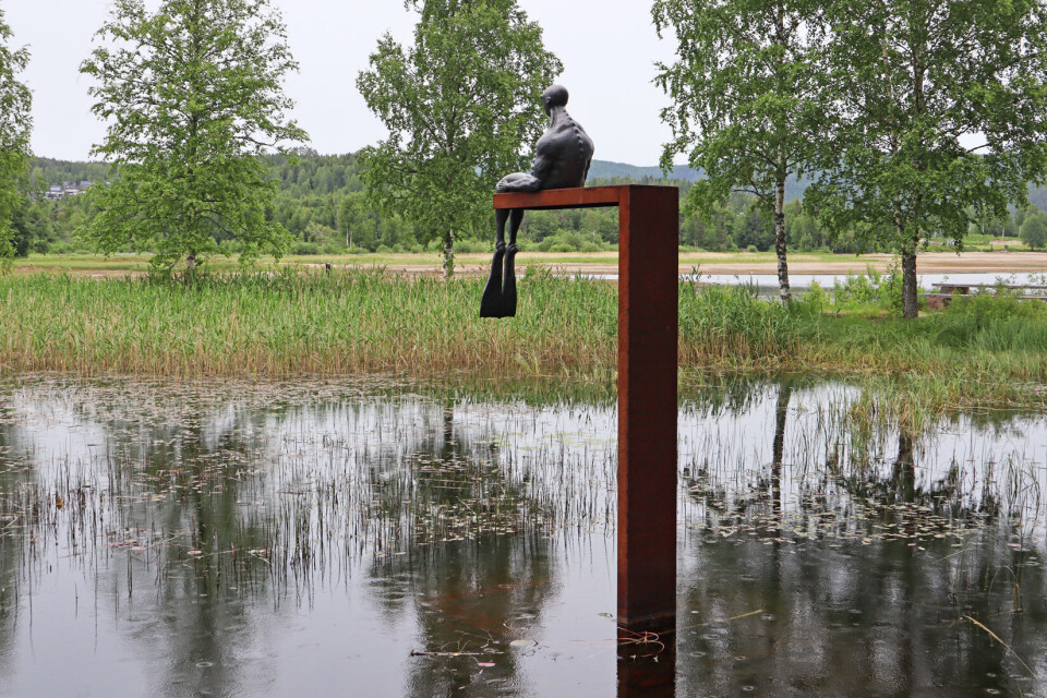 VOKTER DAMMEN: Damvokteren av Ole Martin Skaug. (Foto Eva Alnes Holte).