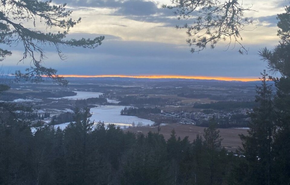 Nes har mye fin natur, i skog og langs elvene Glomma og Vorma, skriver ordfører Grete Sjøli. (Foto: Grete Sjøli / Nes kommune).