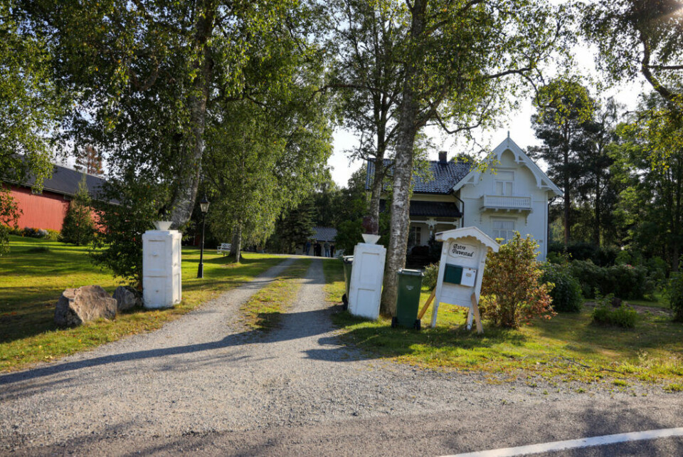 Biene sjekker inn på gården
