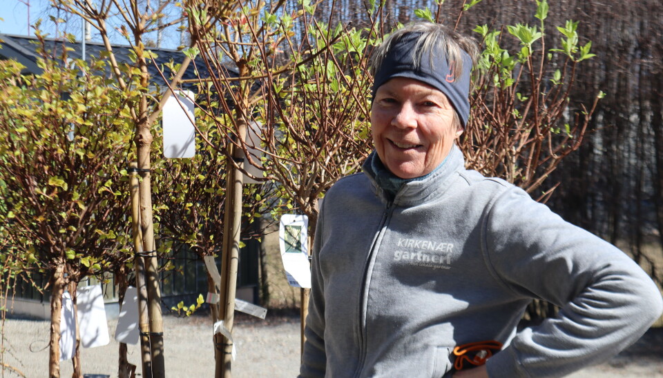 BLOMST TIL GRUE SYKEHJEM - Eldreomsorgen i Grue er fantastisk, sier Inger Frette på Kirkenær Gartneri.