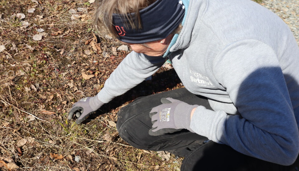 – Kirkenær er et lite sted, vi må stikke finger´n i jorda