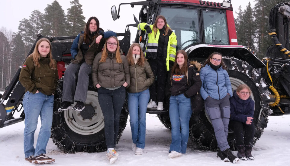 FORESLÅS FLYTTET: Utemiljø 2-2023 skrev om økt jenteandel på skoglinja på Sønsterud. Nå foreslår fylkeskommunedirektøren å flytte tilbudet til Våler. Fra venstre: Ingvild Flikkerud, Trine-Lise Varli , Martha Jørgensen , Sara Elisabeth K. Bjøntegaard, Jannike Vesterhaug, Iselin Smestad, Madelen Sakserud og Eva Helene Bjerke. Jentene inntar skoglinja på Solør videregående skole, avdeling Sønsterud.