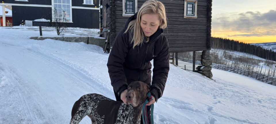 Non-stop dogwear: Fra en idé til et globalt eventyr