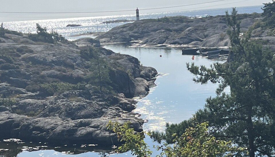 Feriegjestene velger fjell og bygder fremfor utlandet!